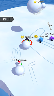 Bilder Snowball.io - Img 2